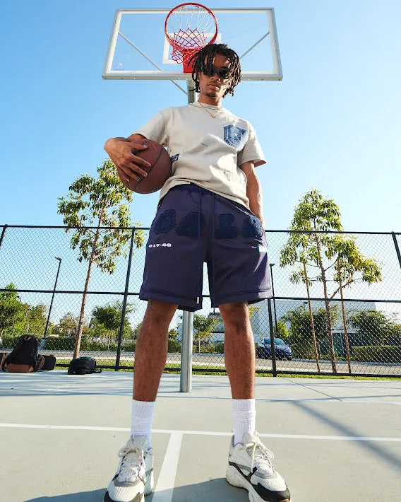 INCOGNITO SHORTS (DEEP NAVY/COBALT SPACE)